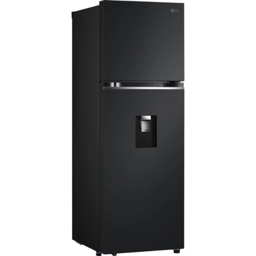 anh tu lanh 2 canh inverter 334 lit lg ltd33blm